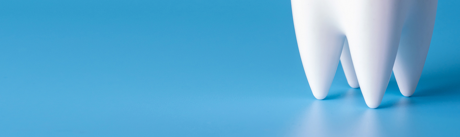 Zwahlen and Marshall Family Dentistry | Digital Radiography, Dental Fillings and CEREC